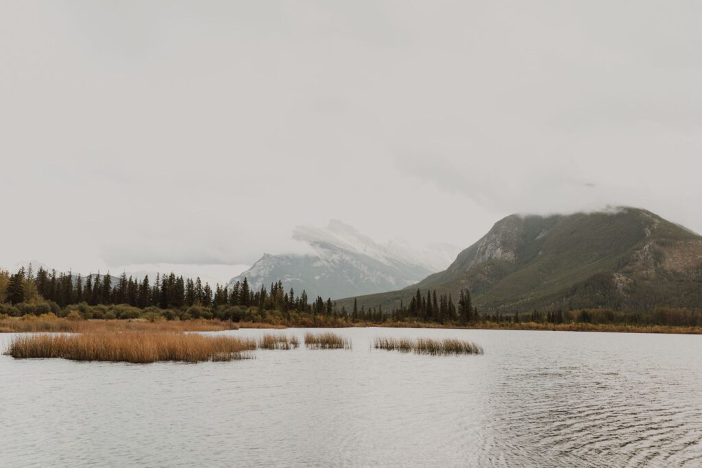 Photography of a mountain range and forest that is atop a lake and moss area
